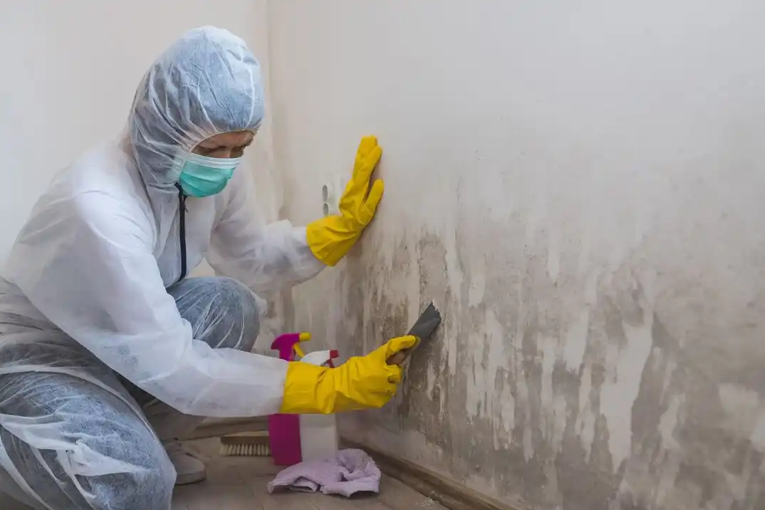 water damage restoration service Pembroke
